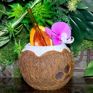 Sip a tropical drink in a coconut shell with an orange slice, pink orchid, and translucent straw amid lush greenery. Perfect while you await your Kokomo Coconut - Ceramic Tiki Mug, available for limited-time pre-order from our exclusive collection.