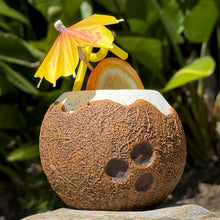 The Kokomo Coconut Ceramic Tiki Mug, available for limited time pre-order, features a coconut shape with a drink garnished with an orange slice and two yellow straws topped by a yellow parasol, set against lush green leaves for ultimate tropical vibes.